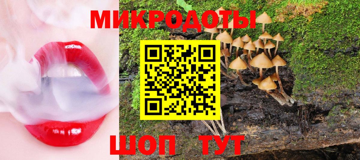 Галлюциногенные грибы мицелий  Псилоцибиновые грибы MAGIC MUSHROOMS  Майкоп  Вход с VPN 